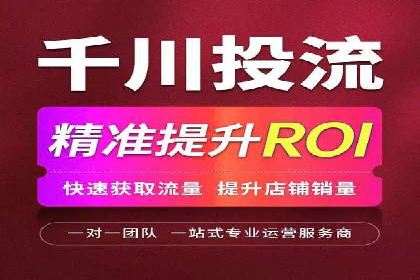百度竞价推广运营策略：成功案例解析